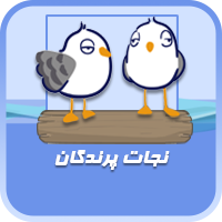 2 6copy